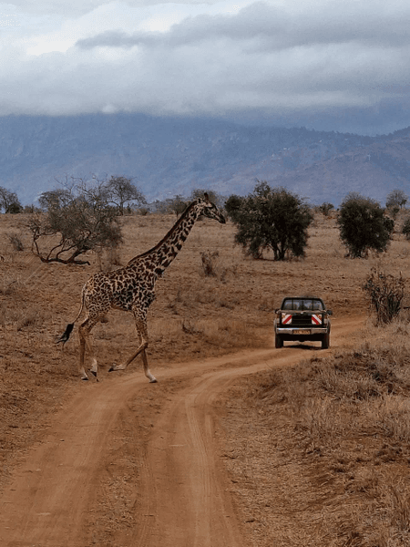 Safari al Taita Hills (2 giorni)