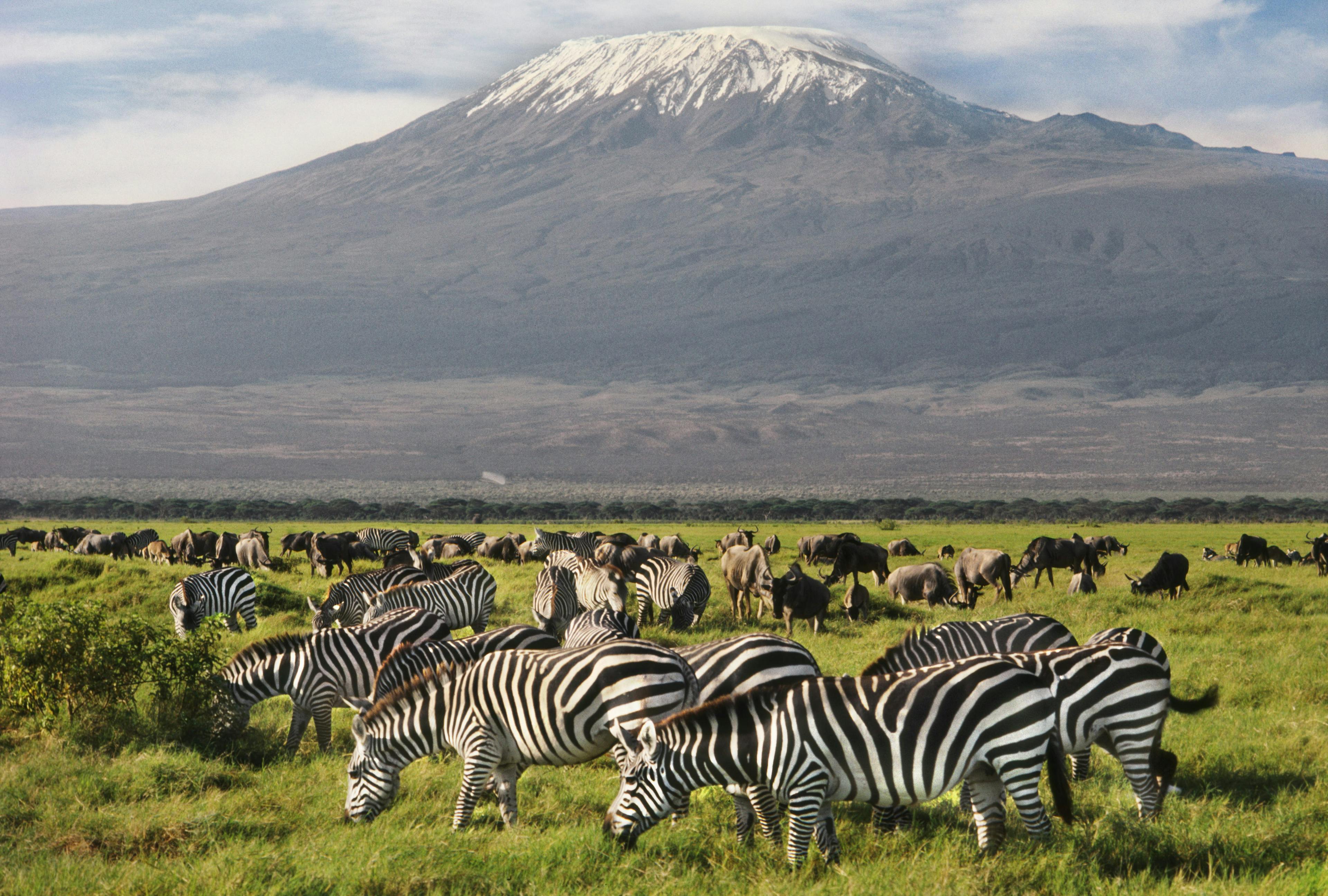 Safari Taita Hills + Amboseli (3 giorni)